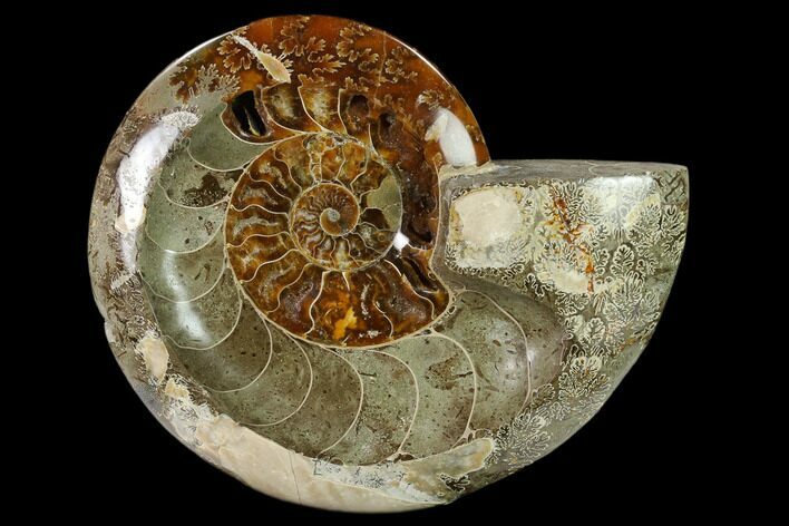 Wide Polished Fossil Ammonite Dish - Inlaid Ammonite #137411